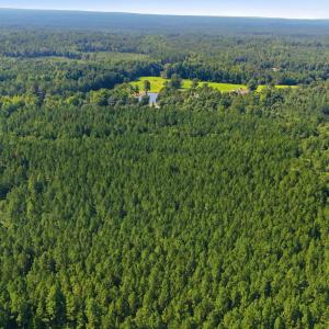 Photo #22 of Off Pats Road, Vass, NC 34.3 acres