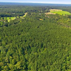 Photo #20 of Off Pats Road, Vass, NC 34.3 acres