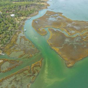 Photo #23 of 184 Lennoxville Point, Beaufort, NC 0.5 acres