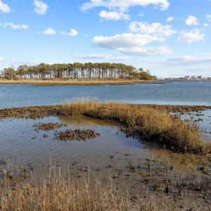 Photo #15 of 1304 Fathom, Morehead City, NC 0.3 acres