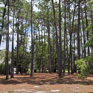 Photo #1 of 3451 Haskell, Southport, NC 0.4 acres