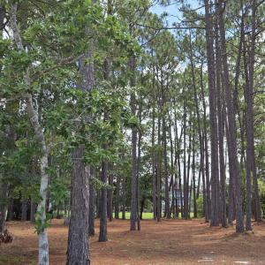 Photo #21 of 3451 Haskell, Southport, NC 0.4 acres
