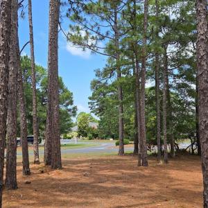 Photo #8 of 3451 Haskell, Southport, NC 0.4 acres