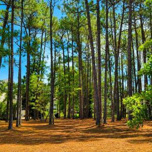 Photo #50 of 3451 Haskell, Southport, NC 0.4 acres