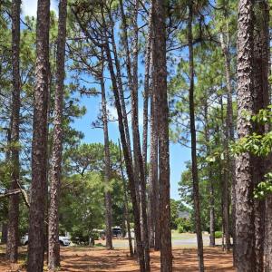Photo #10 of 3451 Haskell, Southport, NC 0.4 acres