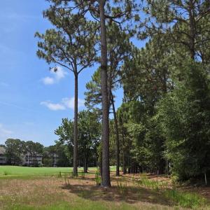 Photo #9 of 3451 Haskell, Southport, NC 0.4 acres