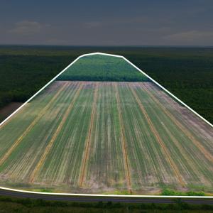 Photo #5 of N/A Florence, Merritt, NC 95.9 acres
