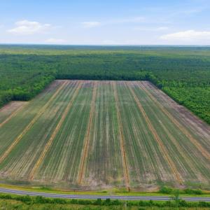 Photo #1 of N/A Florence, Merritt, NC 95.9 acres