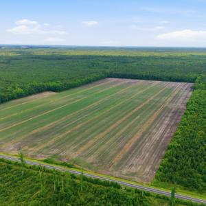 Photo #2 of N/A Florence, Merritt, NC 95.9 acres