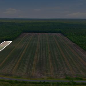 Photo #4 of N/A Florence, Merritt, NC 95.9 acres