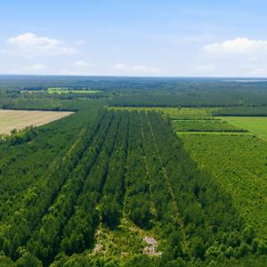 Photo #1 of Spain Farm, Stonewall, NC 33.0 acres