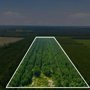 Photo #2 of Spain Farm, Stonewall, NC 33.0 acres