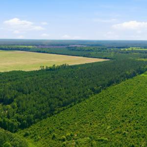 Photo #3 of Spain Farm, Stonewall, NC 33.0 acres