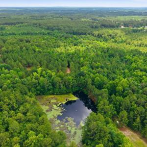 Photo #7 of 481 Cypress Farm, Cameron, NC 13.9 acres