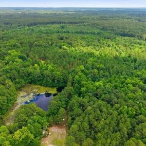 Photo #6 of 481 Cypress Farm, Cameron, NC 13.9 acres