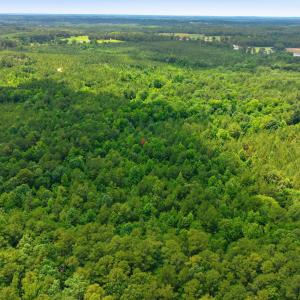Photo #5 of 481 Cypress Farm, Cameron, NC 13.9 acres