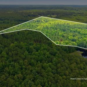 Photo #1 of 481 Cypress Farm, Cameron, NC 13.9 acres