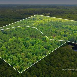 Photo #2 of 481 Cypress Farm, Cameron, NC 13.9 acres