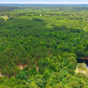 Photo #3 of 481 Cypress Farm, Cameron, NC 13.9 acres