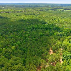 Photo #4 of 481 Cypress Farm, Cameron, NC 13.9 acres