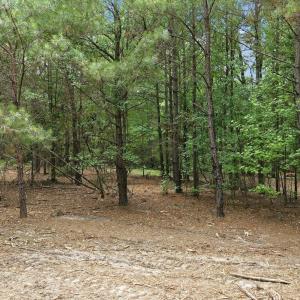 Photo #8 of 481 Cypress Farm, Cameron, NC 13.9 acres