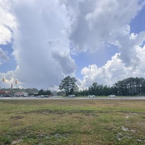 Photo #2 of Tract F Us 421, Currie, NC 4.9 acres