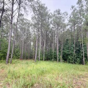 Photo #1 of Tract F Us 421, Currie, NC 4.9 acres