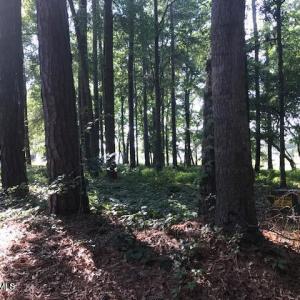 Photo #7 of 3247 Mullet Creek, Bolivia, NC 0.4 acres