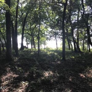 Photo #6 of 3247 Mullet Creek, Bolivia, NC 0.4 acres