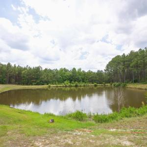 Photo #30 of 220 Justin, Foxfire Village, NC 10.4 acres