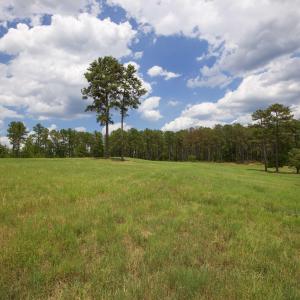 Photo #22 of 220 Justin, Foxfire Village, NC 10.4 acres