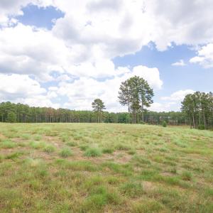 Photo #19 of 220 Justin, Foxfire Village, NC 10.4 acres
