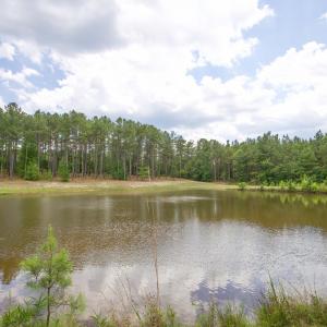 Photo #27 of 220 Justin, Foxfire Village, NC 10.4 acres