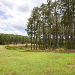 Photo #21 of 220 Justin, Foxfire Village, NC 10.4 acres