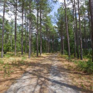 Photo #7 of 220 Justin, Foxfire Village, NC 10.4 acres