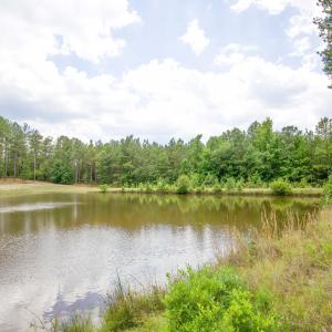 Photo #28 of 220 Justin, Foxfire Village, NC 10.4 acres
