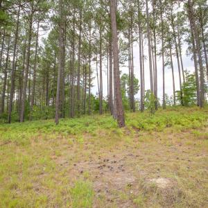 Photo #26 of 220 Justin, Foxfire Village, NC 10.4 acres