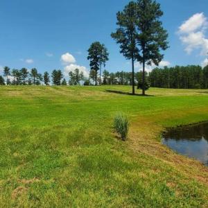 Photo #6 of 220 Justin, Foxfire Village, NC 10.4 acres