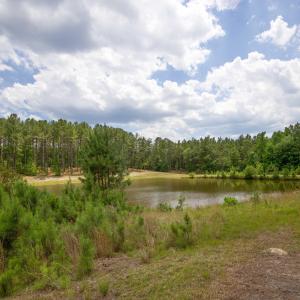 Photo #25 of 220 Justin, Foxfire Village, NC 10.4 acres