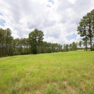 Photo #13 of 220 Justin, Foxfire Village, NC 10.4 acres