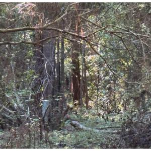 Photo #18 of 3611 New Bern, Jacksonville, NC 4.3 acres