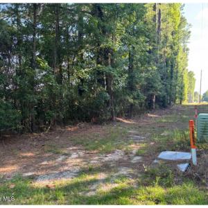 Photo #10 of 3611 New Bern, Jacksonville, NC 4.3 acres