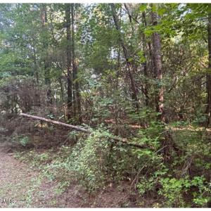 Photo #13 of 3611 New Bern, Jacksonville, NC 4.3 acres