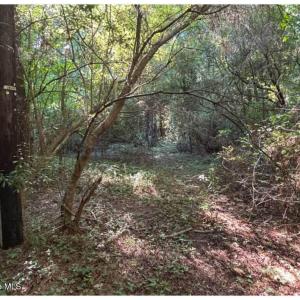 Photo #16 of 3611 New Bern, Jacksonville, NC 4.3 acres