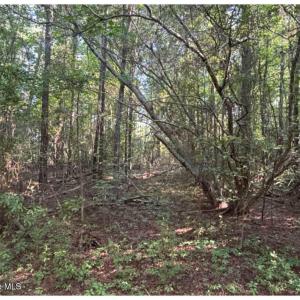 Photo #15 of 3611 New Bern, Jacksonville, NC 4.3 acres