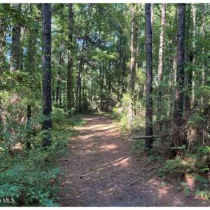 Photo #17 of 3611 New Bern, Jacksonville, NC 4.3 acres