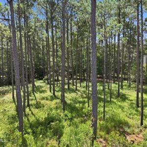 Photo #8 of 123 White Swan, Swansboro, NC 1.6 acres