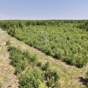Photo #11 of Guinea Mill, Ernul, NC 34.9 acres