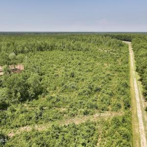 Photo #24 of Guinea Mill, Ernul, NC 34.9 acres