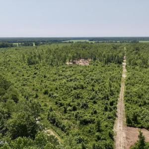 Photo #1 of Guinea Mill, Ernul, NC 34.9 acres